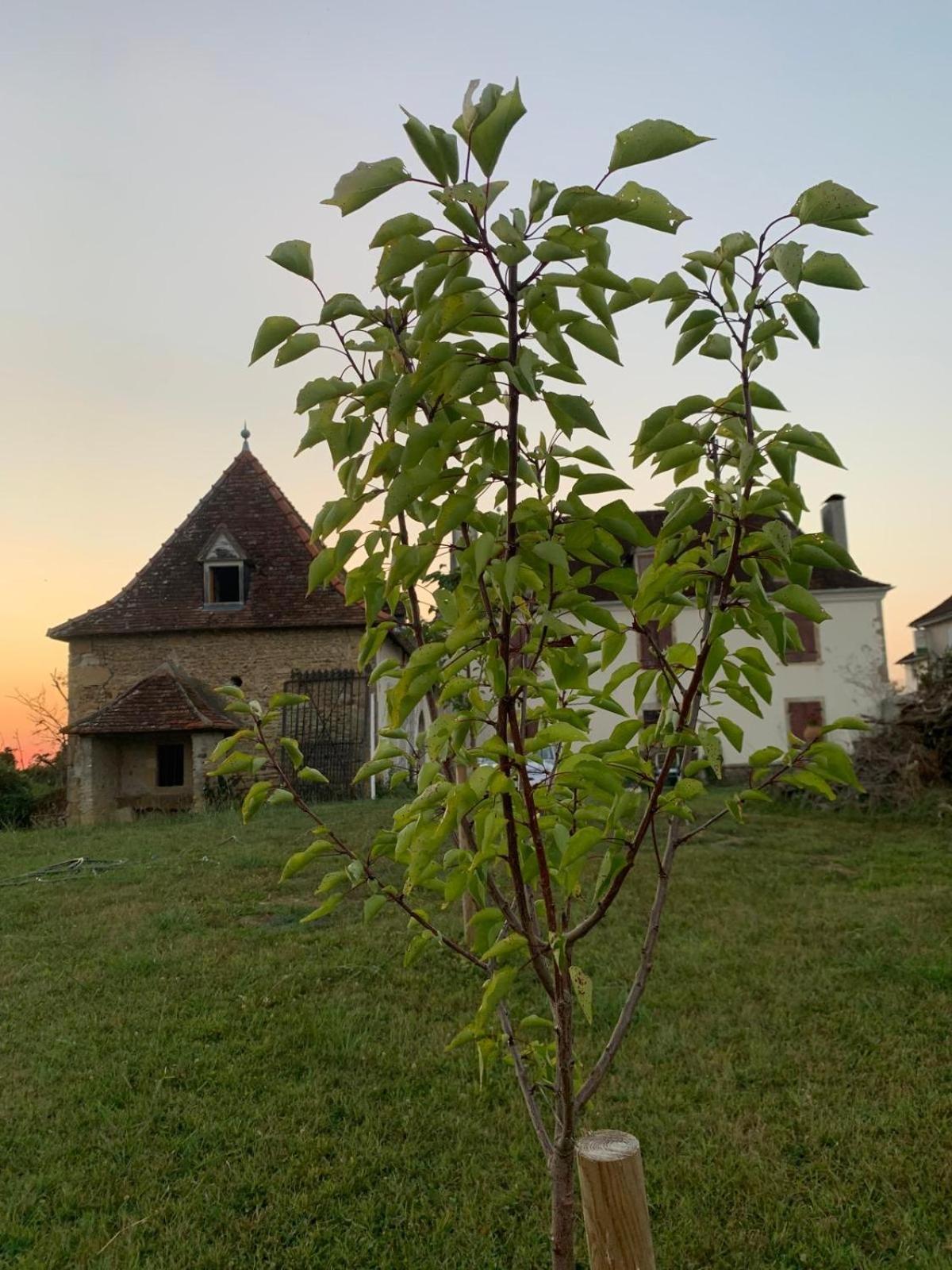 La Poesie Bed and Breakfast Lagor Exteriör bild